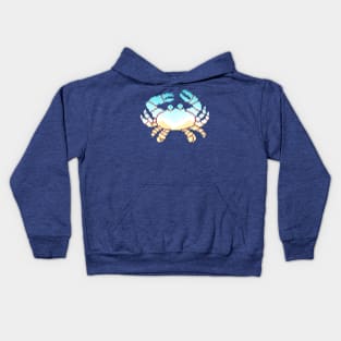 Modern Pixel Sea Crab Kids Hoodie